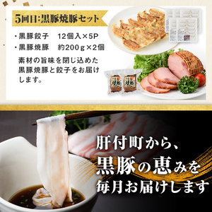【D02006】＜定期便・全5回＞かごしま黒豚まんぞく定期便A (月1回×5ヶ月) 鹿児島 九州産 国産 肉 豚肉 黒豚 焼豚 肩ロース ロース モモ スライス 叉焼 餃子 ギョーザ ぎょうざ しゃぶしゃぶ とんかつ 加工品 セット 【和田養豚】