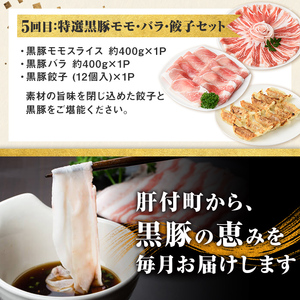 【D02007】＜定期便・全5回＞かごしま黒豚まんぞく定期便B (月1回×5ヶ月) 鹿児島 九州産 国産 肉 豚肉 黒豚 焼豚 肩ロース ロース モモ スライス 叉焼 餃子 ギョーザ ぎょうざ しゃぶしゃぶ とんかつ 加工品 セット 【和田養豚】