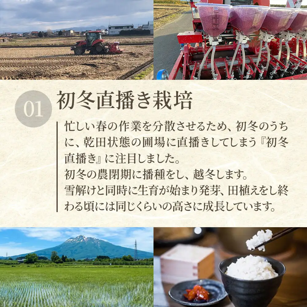米【特別栽培米】まっしぐら 白米 5kg（5kg×1袋）令和7年産 青森県弘前市産