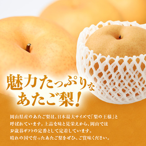 【2026年先行受付】 梨 あたご梨  秀品 約4kg(3～6玉) 岡山名産 日本一大きな梨 なし ナシ お歳暮 ギフト 御礼 プレゼント 御礼 御祝 御供 果物 くだもの フルーツ