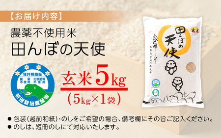 【中日賞受賞】農薬不使用 特別栽培米コシヒカリ5kg【玄米】福井県認証区分1取得「田んぼの天使」 [e10-b007]