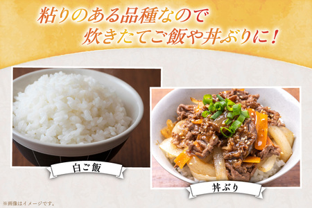 【優秀金賞】 米 令和7年 ゆめぴりか 5kg [笹田ファーム 北海道 剣淵町 14656369]