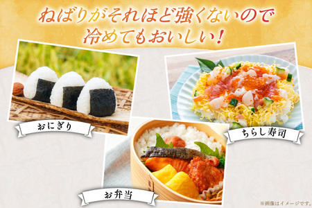 米 ゆきさやか 5キロ [笹田ファーム 北海道 剣淵町 14656370]