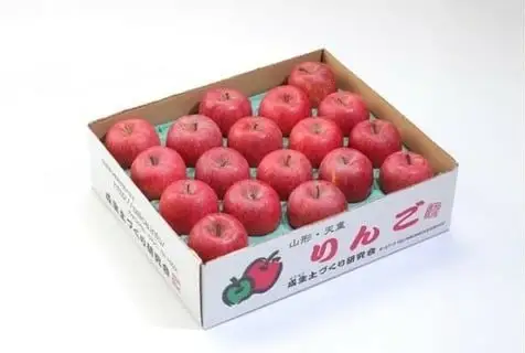 りんご ( サンふじ ) 約 5kg フルーツ 果物 山形 08-05-016