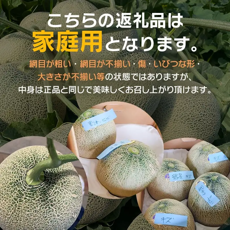 【令和8年産先行予約】　DearFarm砂丘からの贈物　＜家庭用アンデスメロン＞　約5kg（3～5玉）山形県鶴岡市　K-832　| メロン めろん アンデスメロン 5キロ 山形 鶴岡 庄内 庄内産 東北 フルーツ 果物 くだもの 夏 旬 人気 おすすめ 美味しい お取り寄せ 返礼品 