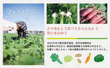 【 3回定期便 早期受付 数量限定 】アグリユウベの冬野菜セット (小) とれたて 新鮮 農家直送 国産 野菜 野菜便 やさい 野菜 冬野菜 国産 旬 高知県 四万十市 四万十 しまんと【配送月：2026年12月・2027年1月・2月】26-0029