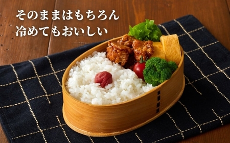 【令和7年産 定期便】新潟県 コシヒカリ「おぢや米」 40kg（10キロ×4回）| コシヒカリ 魚沼 特A
