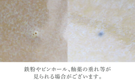 【美濃焼】ポルト ティーク型 6.3深皿 4点セット【カネ定製陶】[MEI239]