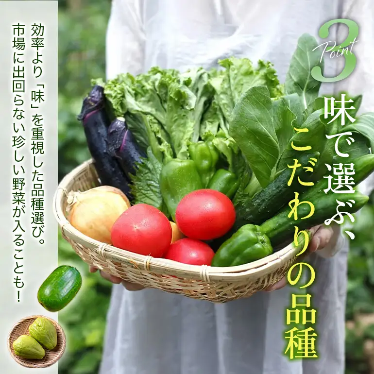 安芸高田市の小さな農家がお届けするふるさと旬野菜セット 野菜類 詰合せ やさい 