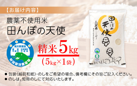 【中日賞受賞】農薬不使用 特別栽培米コシヒカリ5kg【精米】 福井県認証区分1取得「田んぼの天使」 [e10-b008]