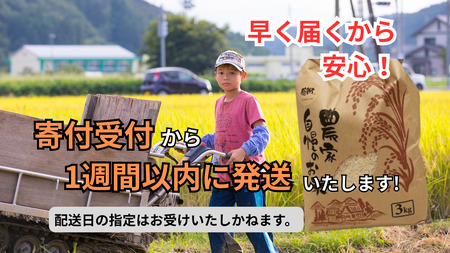 秩父市産　彩のきずな　3kg（精米） ／ お米 ご飯 ひと粒ごとに千年の祈り 美しさ 埼玉県 No.635