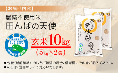 【中日賞受賞】農薬不使用 特別栽培米コシヒカリ10kg（5kg×2）【玄米】福井県認証区分1取得「田んぼの天使」【 農薬化学肥料不使用 】 [e10-d004]