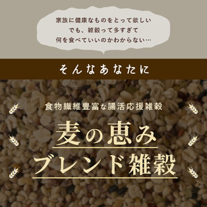 麦の恵み24穀米ブレンド 4kg(800g×5袋)