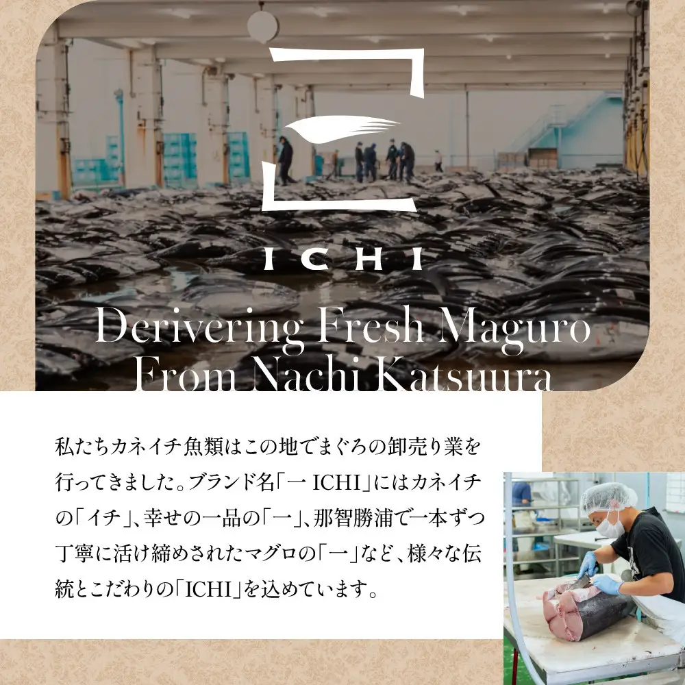 粗挽きまぐろ 100g×7パック《先行予約》［8月から順次発送］