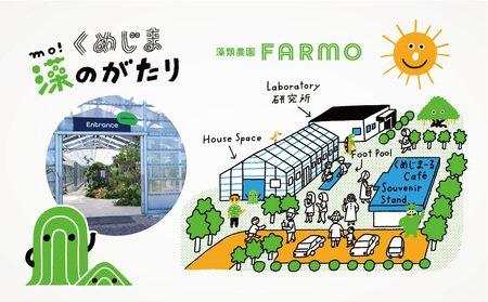 久米島のクラフトビール『KUMEJIMA612』2種 各3本 海洋深層水 仕込み ミネラル クラフト セゾン IPA 飲み比べ セット ブルワリー 醸造 発泡酒 麦芽 小麦 ホップ 酵母 ドライ フルーティー スパイシー キレ 飲み口