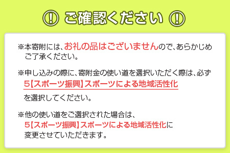 活動支援 ヴィアマテラス宮崎 50,000円 スポーツ 支援 S29-03