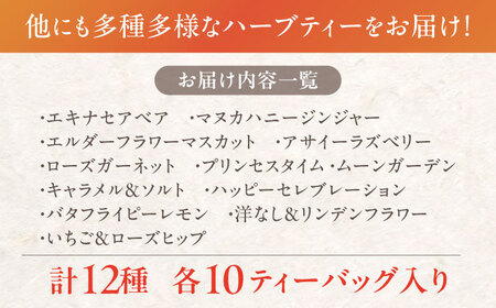 おいしい ハーブティー 12種 飲み比べ セット 各10個入 瑞浪市 / 生活の木 瑞浪ファクトリー直送 お茶 カフェインレス[AZBE073]