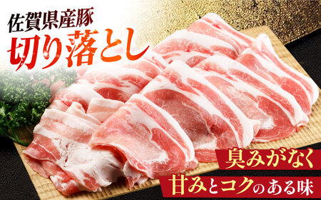ハンバーグ付き！三栄のデイリーセット 【肉の三栄】 佐賀牛 佐賀県産豚 ありたどり 切り落とし[HAA203]