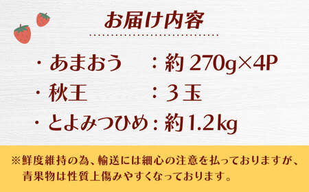 【全3回定期便】九州・福岡もぎたて フルーツ定期便 C　桂川町/一般社団法人地域商社ふるさぽ[ADCF019]