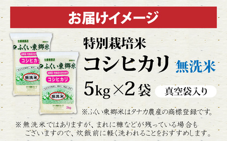 令和7年産【無洗米】特別栽培米 福井県産コシヒカリ 10kg (5kg×2袋) [C-020032] / 無洗米