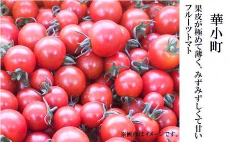 トマト 1箱 約30個～36個 かがやき トマト 令和8年