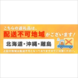 【0412-3】南国紀州・日高の太陽が育んだ小玉スイカ(ひとりじめセブン)《先行予約2026年5月中旬より順次発送予定》