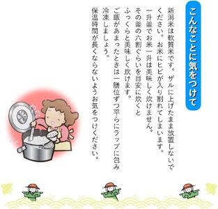 新潟コシヒカリ 令和7年産 精米3kg