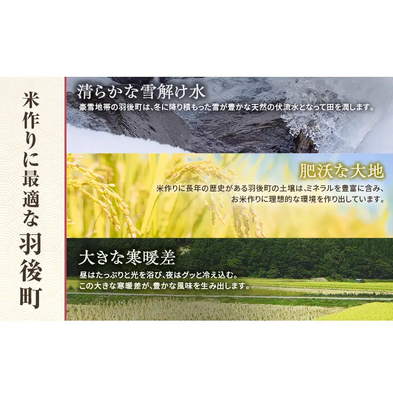 秋田県 羽後町産 あきたこまち 精米 5kg×1袋【 米 お米 白米 精米 アキタコマチ 美味しい 秋田 羽後 】