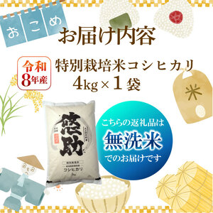 【先行予約】令和8年産 無洗米 コシヒカリ 4kg コシヒカリ コシヒカリ kwsMKH