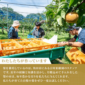吉川果樹園　はじまりのジュース 完熟 新高梨ジュース 720ml×2本セット