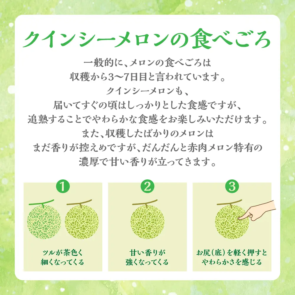 産地直送 クインシーメロン 2玉 約3kg クインシー メロン めろん 赤肉メロン 赤肉 果物 くだもの フルーツ デザート 贈り物 国産 熊本県 八代市