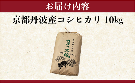 令和7年産 コシヒカリ 10kg 精米 白米