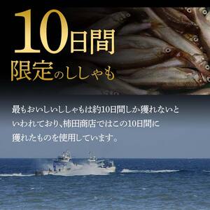 本場くしろ産 ししゃもメス30尾入り！ 本ししゃも 魚 ししゃも 魚好きのメス プチプチたまごのメス 魚介 グルメ シシャモ 北海道産 国産 魚 魚介 海の幸 F5F-0136