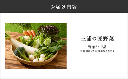 三浦の匠野菜 M127-001 野菜 季節の野菜 三浦かぶ