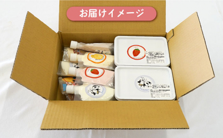 【大容量！おやつにピッタリ♪】手作りアイス詰め合わせセット【佐賀西部コロニー白石作業所】 佐賀県 白石 [ICL003]