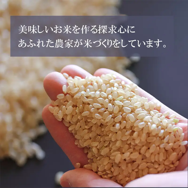 【令和7年産】【定期便】 山形 はえぬき 精米 5kg(5kg×1袋)×3ヶ月　山形県鶴岡市産　株式会社菜な八（鶴岡ファーマーズ）