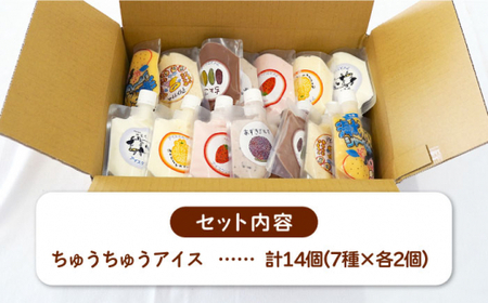 【小さいお子様にもおすすめ！】ちゅうちゅうアイス（チューブ入り）詰め合わせセット【佐賀西部コロニー白石作業所】  佐賀県 白石 [ICL004]