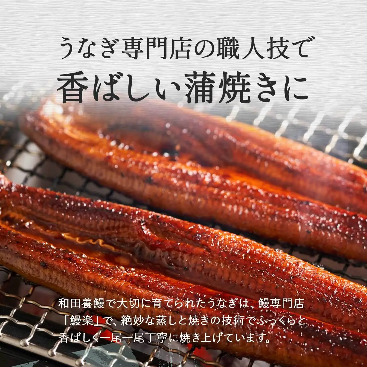 ふるさと納税限定　鹿児島県大崎町産 国産 うなぎ長蒲焼 3尾 計480g以上 | 鰻 うなぎ蒲焼き うな重 ひつまぶし ウナギ 蒲焼 人気 おすすめ 鹿児島 大隅半島 DU002　