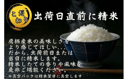【6回定期便】 【令和7年産】 ゆめぴりか （精白米） 10kg×6回 合計60kg ｜ 北海道 鷹栖町 たかすのお米 米 コメ こめ ご飯