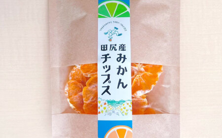 みかん 田尻産 みかんチップス 1袋 [BAGS003] みかん