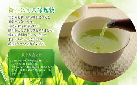Y26-18R01 【母の日】新茶 八女星野茶 120g×2本