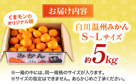 【先行予約】 旨み凝縮！ 飛龍台木 白川 温州 みかん S～Lサイズ 約5kg 山鹿市産　【小春農園】[ZBN009]