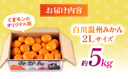 【先行予約】 旨み凝縮！ 飛龍台木 白川 温州 みかん 2Lサイズ 約5kg 山鹿市産　【小春農園】[ZBN010]