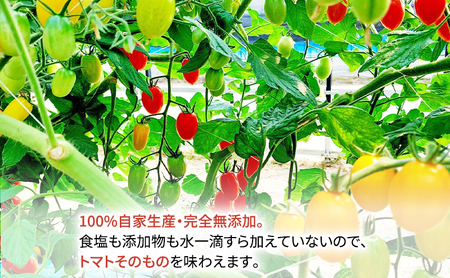 糖度平均9～10度！十勝 幕別産 ミニトマトジュース「自慢のトマトでつくりました。」黄180ml×6本［北海道ホープランド農場］食塩無添加【 トマト ミニトマト 飲料 野菜ジュース リコピン 北海道 十勝 幕別 】