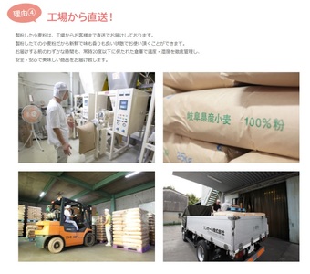 1227 タマイズミSS　5kg 岐阜県産小麦準強力粉