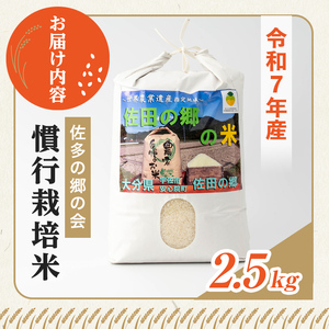 ＜令和7年産＞佐田の郷の米 慣行栽培米(2.5kg) お米 白米 ごはん ヒノヒカリ ひのひかり ブランド米 常温 常温保存【111701000】【雅設置プロジェクト　佐田の郷の会】