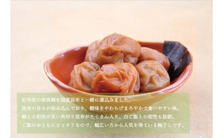 【贈答用】紀州南高梅 食べ比べセット 500g×2　（しそ風味・こんぶ風味）【inm900-5C】