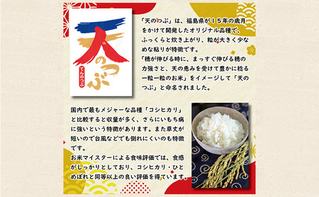 令和7年産 福島県郡山産 天のつぶ 10kg 精米 米 お米 白米 単一原料米 10キロ こめ コメ おこめ ご飯 ライス 福島県 郡山市産
