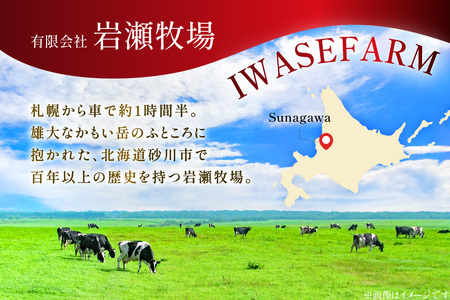 パウンドケーキ 10個 セット 5種 各2個 [岩瀬牧場 北海道 砂川市 12260960]
