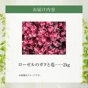 熊本ハーブ園レモングラス　フレッシュローゼル(2kg)_U42-0021